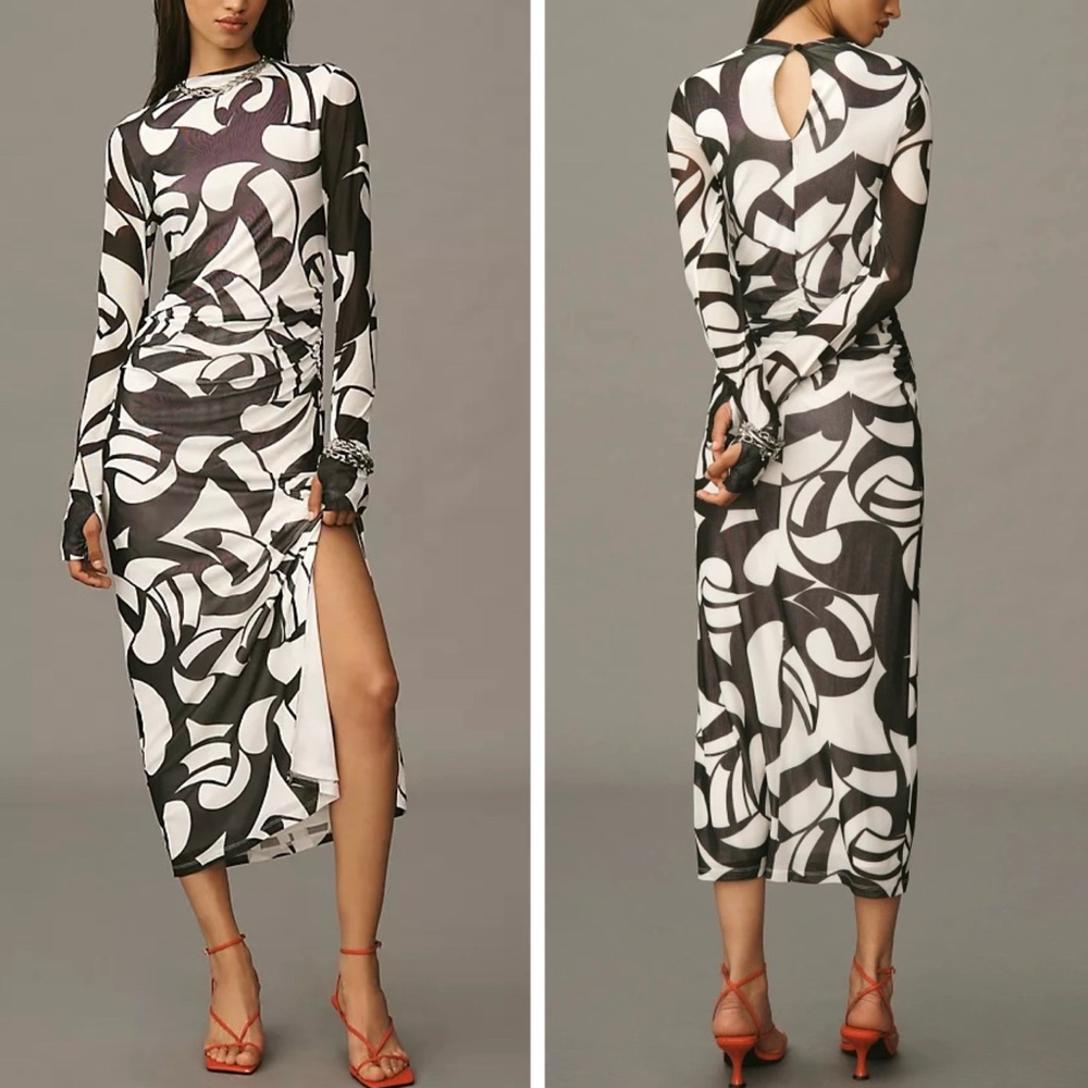 Farm Rio Long Sleeve Printed Slim Mesh Dress